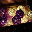 DSL-5 Gardening 5M 40LED String Light Ratten Shape Holiday Garden Party Wedding Decoration - Colorful