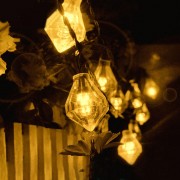 SSL-1 Gardening 6M 3...