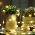 DSL-6 Gardening 5M 40LED String Light Star Shape Holiday Garden Party Wedding Decoration - Pink