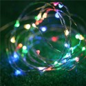 DSL-1 LED 4M 40LED Gardening String Light Garden Holiday Christmas Hollween Wedding Decoration Light - Colorful