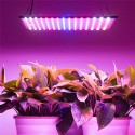 225 LED Grow Light Lamp Full Spectrum Ultrathin Panel Indoor Plant Veg Flower - US Plug