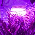 225 LED Grow Light Lamp Full Spectrum Ultrathin Panel Indoor Plant Veg Flower - US Plug