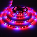 1M 2M 3M 4M 5M 3:1 5050 SMD LED Non-waterproof Hydroponic Plant Grow Strip Light DC12V - 1M