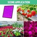 256 LED Grow Light Growing Lamp Full Spectrum For Indoor Flower Plant Hydroponic - EU Plug