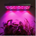 25W 75LED Full Spectrum Plants Growing Lamps 1000lm UV Red Blue White Light Chips for Greenhouse Seeding Cultivation Indoor Flow