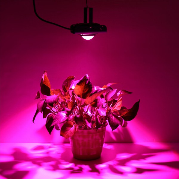 144LED COB Plant Grow Light Full Spectrum 380-800nm 4000K Hydroponic Growth Lamp - Red US Plug