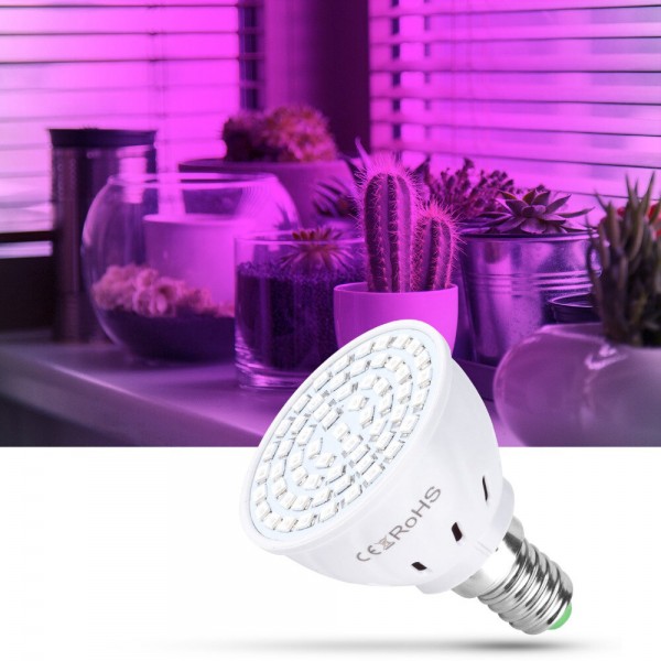 LED Phyto Lamps Full Spectrum Grow Light LED Bulbs Seedling LED Plant Growing Lamp Support E14 E27 for Greenhouse Planting - E14