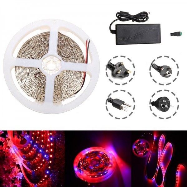 Waterproof 5M Red:Blue 5:1 SMD5050 Full Spectrum LED Strip Grow Plant Light + Power Supply DC12V  - AU Plug