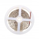 DC12V 5M Red:Blue 3:1 Waterproof 5050 Full Spectrum Grow LED Strip Lights kit for Plant  - UK Plug