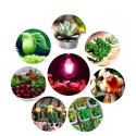 E27 B22 6W A60 Non-Dimmable COB LED Plant Grow Light Bulb for Hydroponics Greenhouse AC85-265V - B22