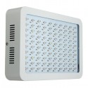 100W Full Spectrum 100 LED Grow Light Lamp for Plants Hydroponic Indoor Flower  - AU Plug