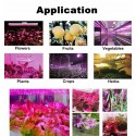 100W Full Spectrum 100 LED Grow Light Lamp for Plants Hydroponic Indoor Flower  - AU Plug