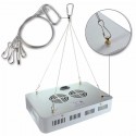 100W Full Spectrum 100 LED Grow Light Lamp for Plants Hydroponic Indoor Flower  - AU Plug