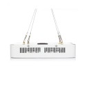 Bigin Double Chips LED Grow Light 600W/800W/1200W Full Spectrum Grow Lamp for Greenhouse Hydroponic Indoor Plants - EU Plug 1200