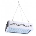 50W Full Spectrum LED Grow Light Hydroponic Indoor Veg Bloom Plant Lamp - US Plug