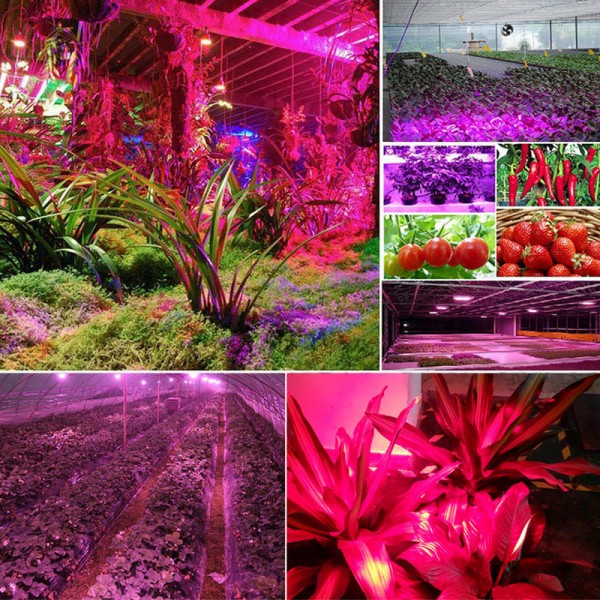 130LED Dimmable Grow Light Full Spectrum Veg Plant Lamp Timing Remote - US Plug