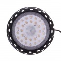 300W LED Grow Light Full Spectrum Hydroponics Greenhouse Grow Lamp Plant Bulb   