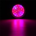 70W UFO LED Full Spectrum Grow Light Lamp for Plants Hydroponic Indoor Flower - EU Plug