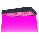 5000W LED Grow Light Strip Hydroponic Full Spectrum Veg Flower Plant Lamp Panel - EU Plug