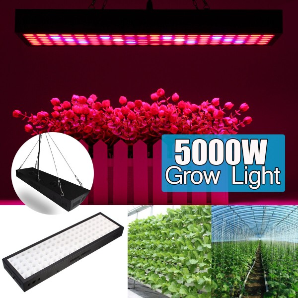 5000W LED Grow Light Strip Hydroponic Full Spectrum Veg Flower Plant Lamp Panel - EU Plug