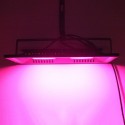 AC220V 100W Full Spectrum LED Flood Grow Light Waterproof IP65 for Indoor Ourdoor Plant