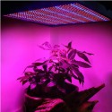 100W 1131Red 234Blue LED Grow Light Plant Growing Lamp Garden Greenhouse Plant Seedling Light - EU Plug
