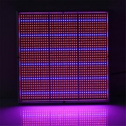 100W 1131Red 234Blue...