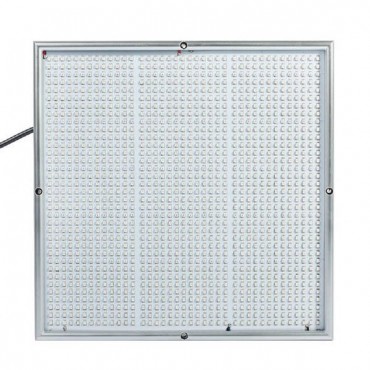 100W 1131Red 234Blue...