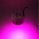 40W Full Spectrum UFO 50 LED Plant Light Indoor Hydroponics Grow Lamp for Vegetable Flower AC85-265V - US Plug