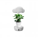 5V Cloud Shape LED Grow Light for Plants Growth Lighting Simulate Different Weather Conditions Grow Light For Indoor Plant