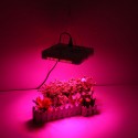 90W LED Grow Light Hydroponic Full Spectrum Indoor Plant Flower Bloom 85-265V - EU Plug