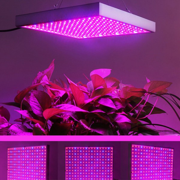 AC85-265V 60W 289 LED Grow Light Growing Lamp For Veg Flower Indoor Plant - US Plug