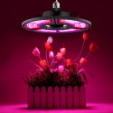 E27 LED Grow Light Full Spectrum Hydroponic Lamp Bulb for Indoor Plant Flower Growing AC100-277V - 288LED