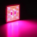 65W LED Grow Light Panel Lamp Full Spectrum Hydroponic Plant Growing Lights - EU Plug