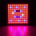 LED Grow Light Hydroponic Full Spectrum Indoor Plant Flower Bloom IP66 - EU Plug