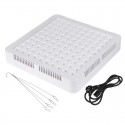 LED Grow Light Hydroponic Full Spectrum Indoor Plant Flower Bloom IP66 - EU Plug