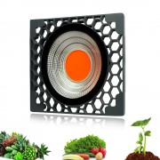 1000W LED Grow Light...