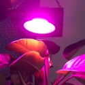 1000W LED Grow Light Full Spectrum Growing Lamp Honeycomb Cooling Plant growth Lamp Led  Effect Fill Light - US Plug