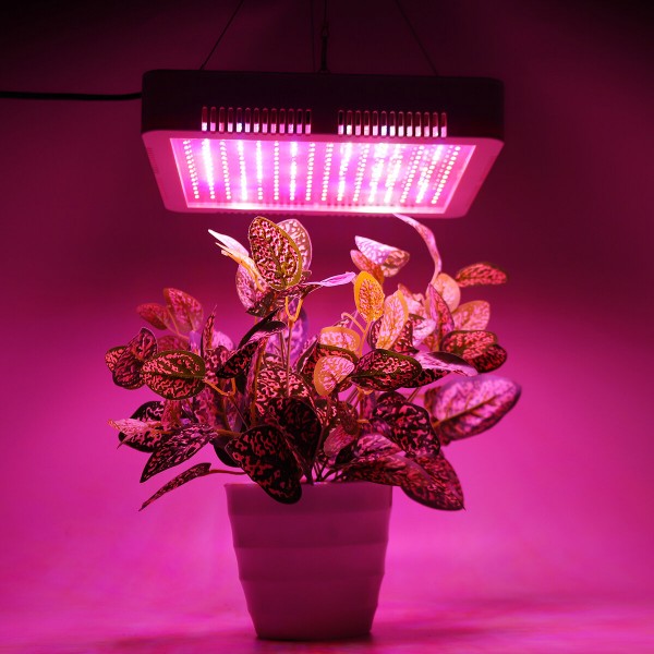 240 LEDs Plant Grow Light Veg Bloom Lamp Indoor Greenhouse Garden Full Spectrum Plant Growth Light - US Plug Red + Blue