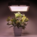 240 LEDs Plant Grow Light Veg Bloom Lamp Indoor Greenhouse Garden Full Spectrum Plant Growth Light - US Plug Red + Blue