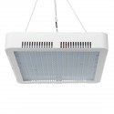 240 LEDs Plant Grow Light Veg Bloom Lamp Indoor Greenhouse Garden Full Spectrum Plant Growth Light - US Plug Red + Blue