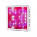 240 LEDs Plant Grow Light Veg Bloom Lamp Indoor Greenhouse Garden Full Spectrum Plant Growth Light - US Plug Red + Blue