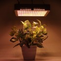 240 LEDs Plant Grow Light Veg Bloom Lamp Indoor Greenhouse Garden Full Spectrum Plant Growth Light - US Plug Red + Blue
