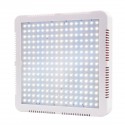240 LEDs Plant Grow Light Veg Bloom Lamp Indoor Greenhouse Garden Full Spectrum Plant Growth Light - US Plug Red + Blue