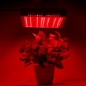 240 LEDs Plant Grow Light Veg Bloom Lamp Indoor Greenhouse Garden Full Spectrum Plant Growth Light - US Plug Red + Blue