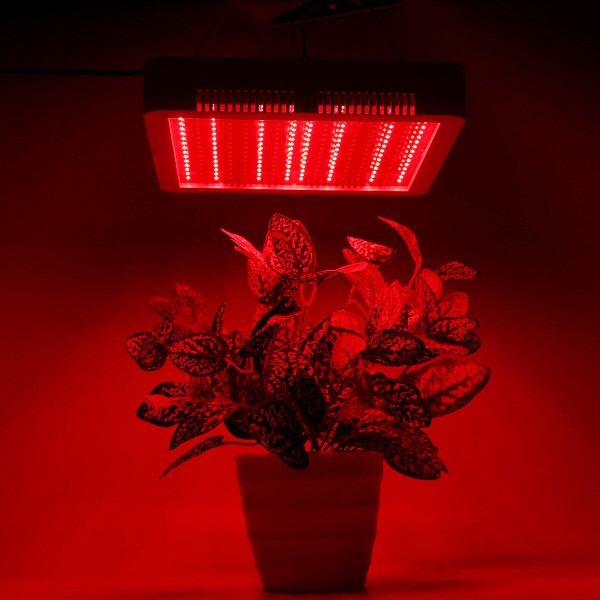 240 LEDs Plant Grow Light Veg Bloom Lamp Indoor Greenhouse Garden Full Spectrum Plant Growth Light - US Plug Red + Blue