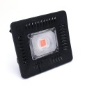 100W Full Spectrum COB LED Grow Flood Light Waterproof Plant Veg Flower Hydroponic Lamp AC90-264V - AU Plug