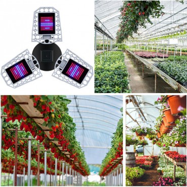 216/297 LED Grow Lig...