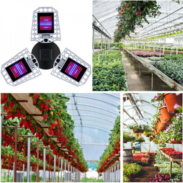 216/297 LED Grow Light Foldable Red and Blue Light for Nursery Supplement Light E27 Waterproof Plant Growth Light - 216LED