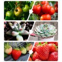 1/3/4 head LED Grow Light Full Spectrum Phyto Lamp USB Clip-on Grow Lamp for Plants Indoor Seedlings Flower Grow Tent Box Fitola